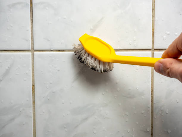 Best Localized Mold Remediation (e.g., coastal areas, humid climates) in Menard, TX